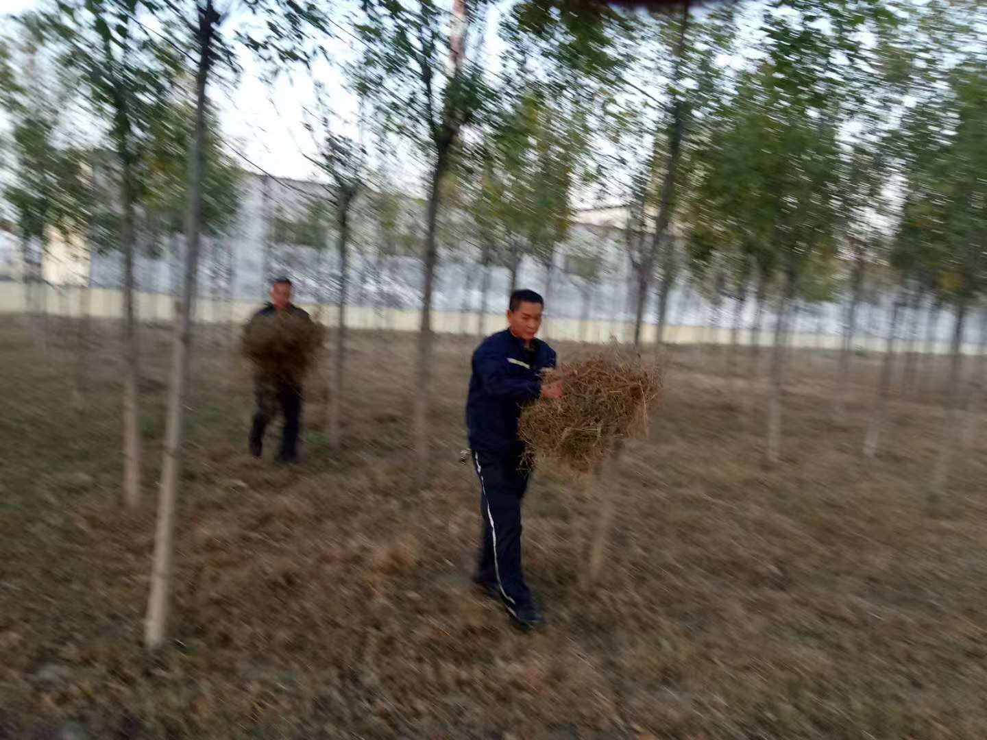 微信图片_201911271353112.jpg