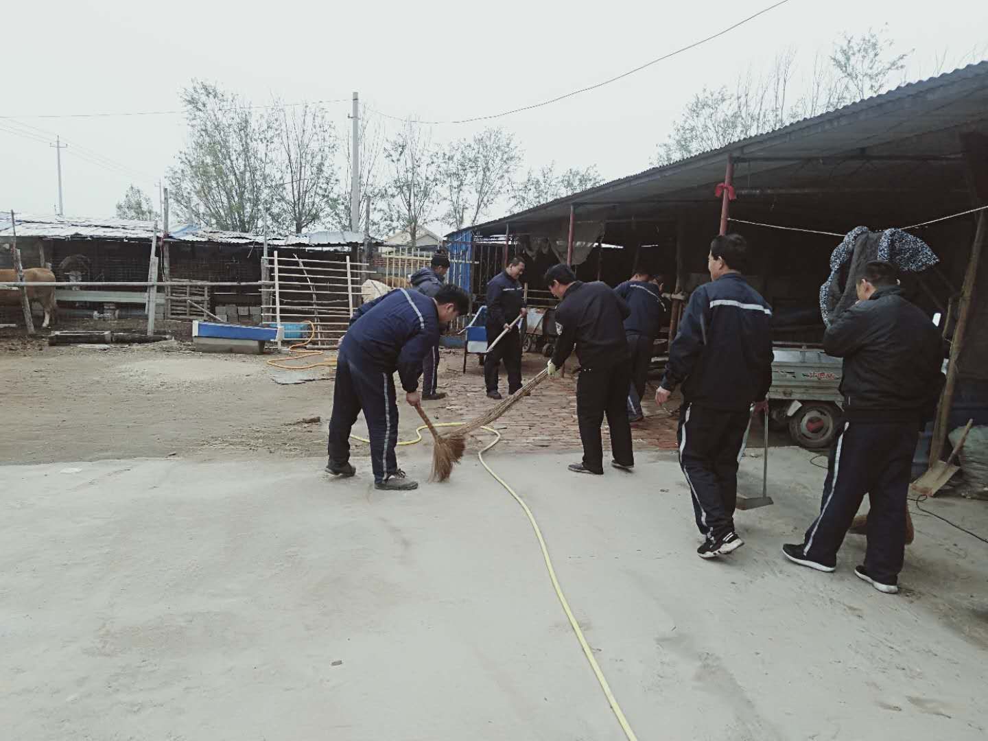微信图片_20200420085512.jpg